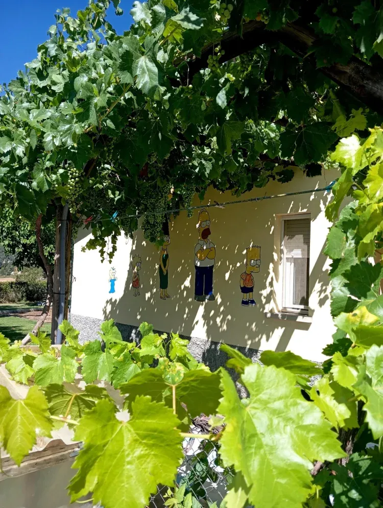 Imagen de Porche, uvas, simpsons