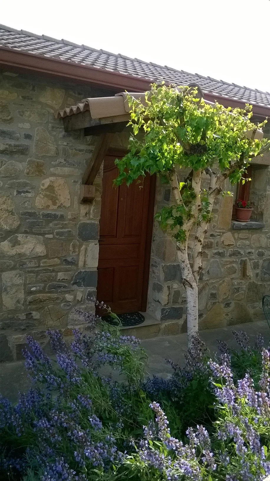 Imagen de Entrada a la vivienda