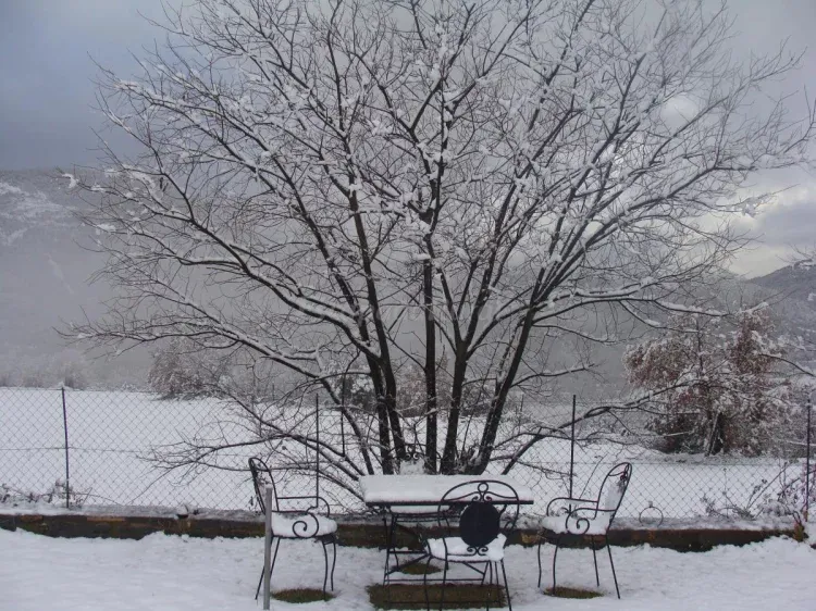 Imagen de Jardín en invierno