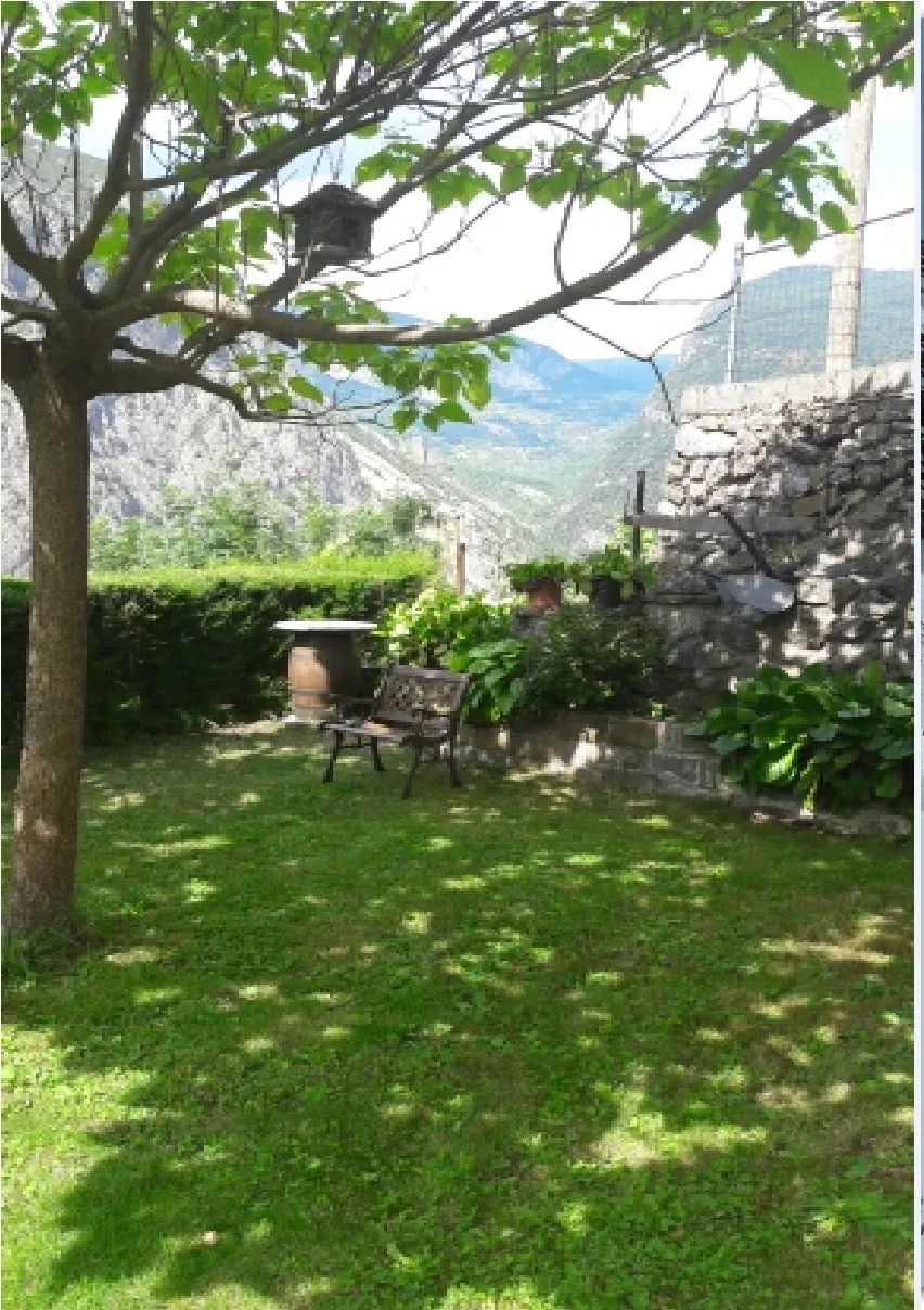 Imagen de Jardín