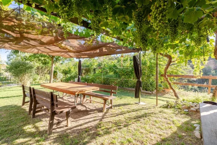 Imagen de Jardín 