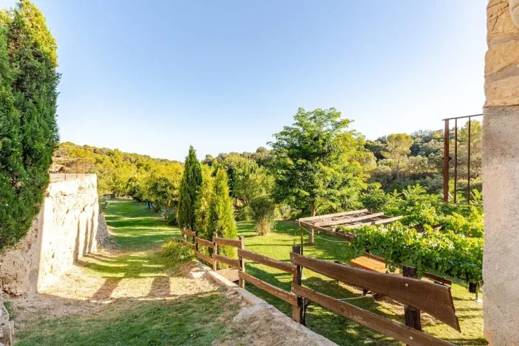 Imagen de Jardín 