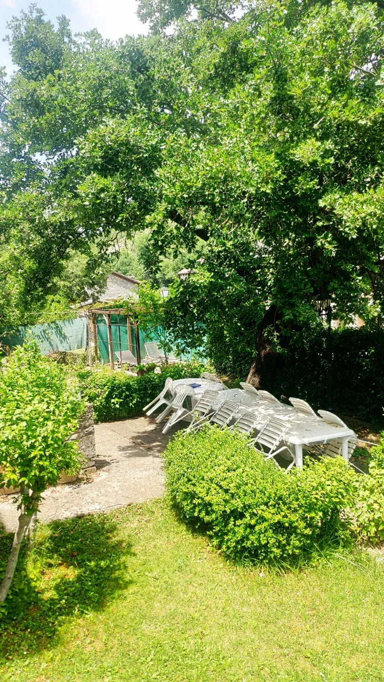 Imagen de Jardín