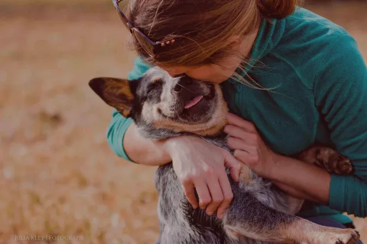 Imagen de Petfriendlly