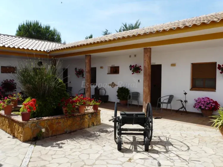Imagen de Patio Andaluz