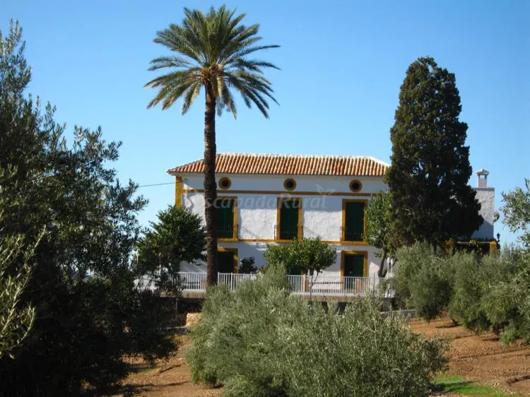 Imagen de FACHADA EXTERIOR
