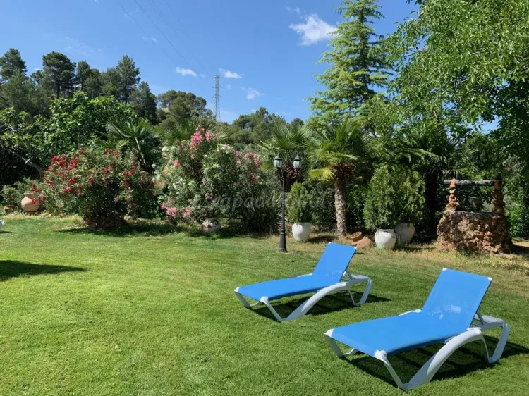 Imagen de Hamacas en la zona de piscina