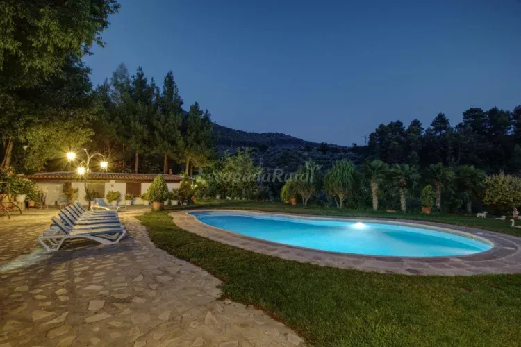 Imagen de Piscina del complejo