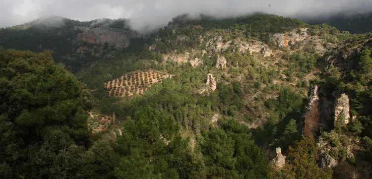Imagen de Vistas desde el mirador
