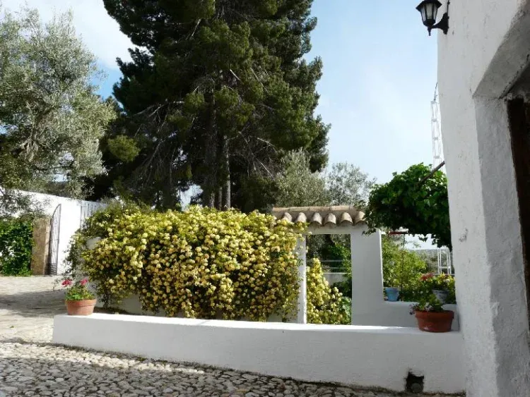 Imagen de Jardín