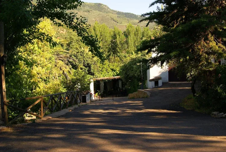 Imagen de ENTRADA DIEZ REALES.