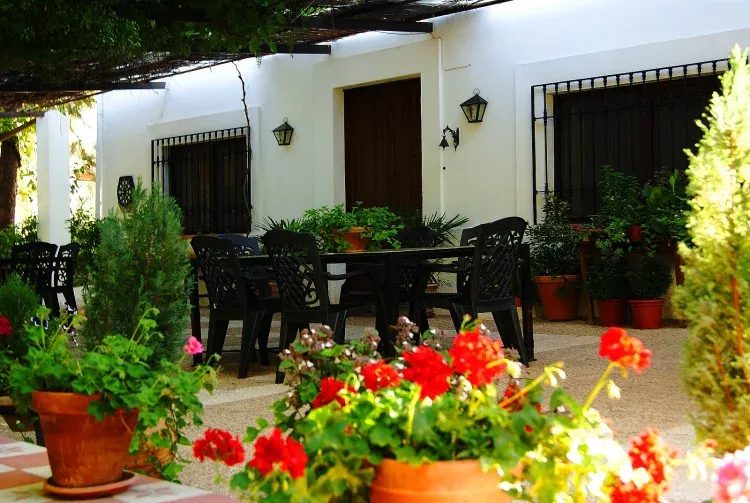 Imagen de TERRAZA DIEZ REALES.