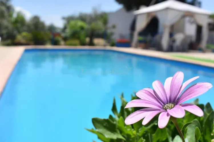 Imagen de Piscina