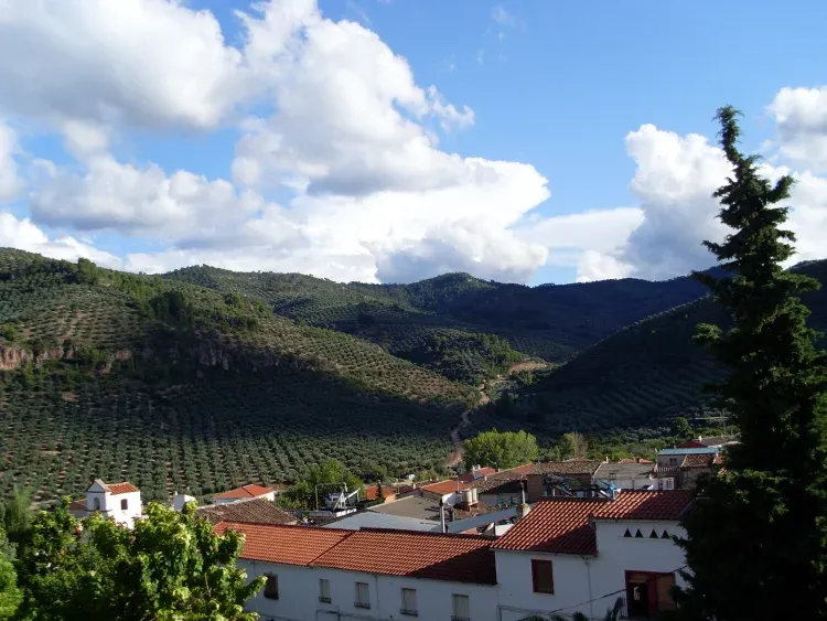 Imagen de Vistas desde la terraza.