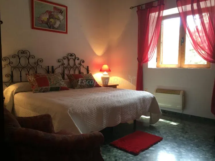 Imagen de Habitación con cama extragrande