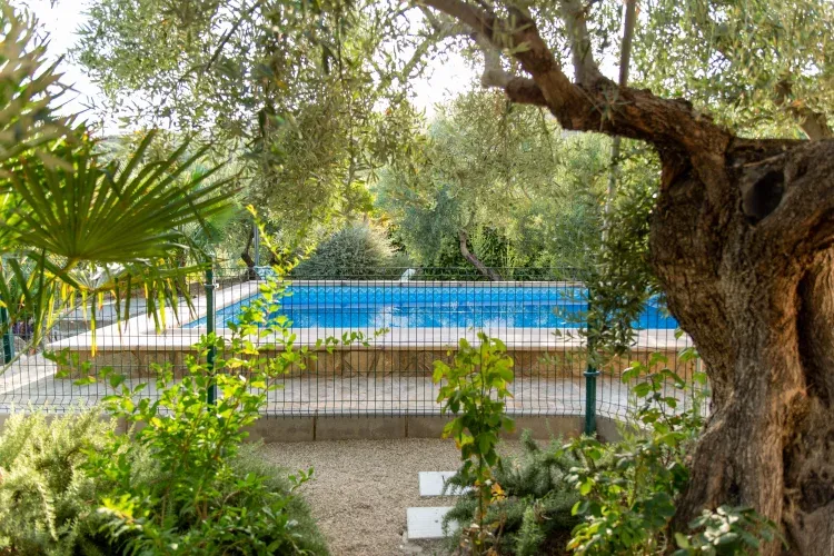 Imagen de Zona ajardinada y piscina