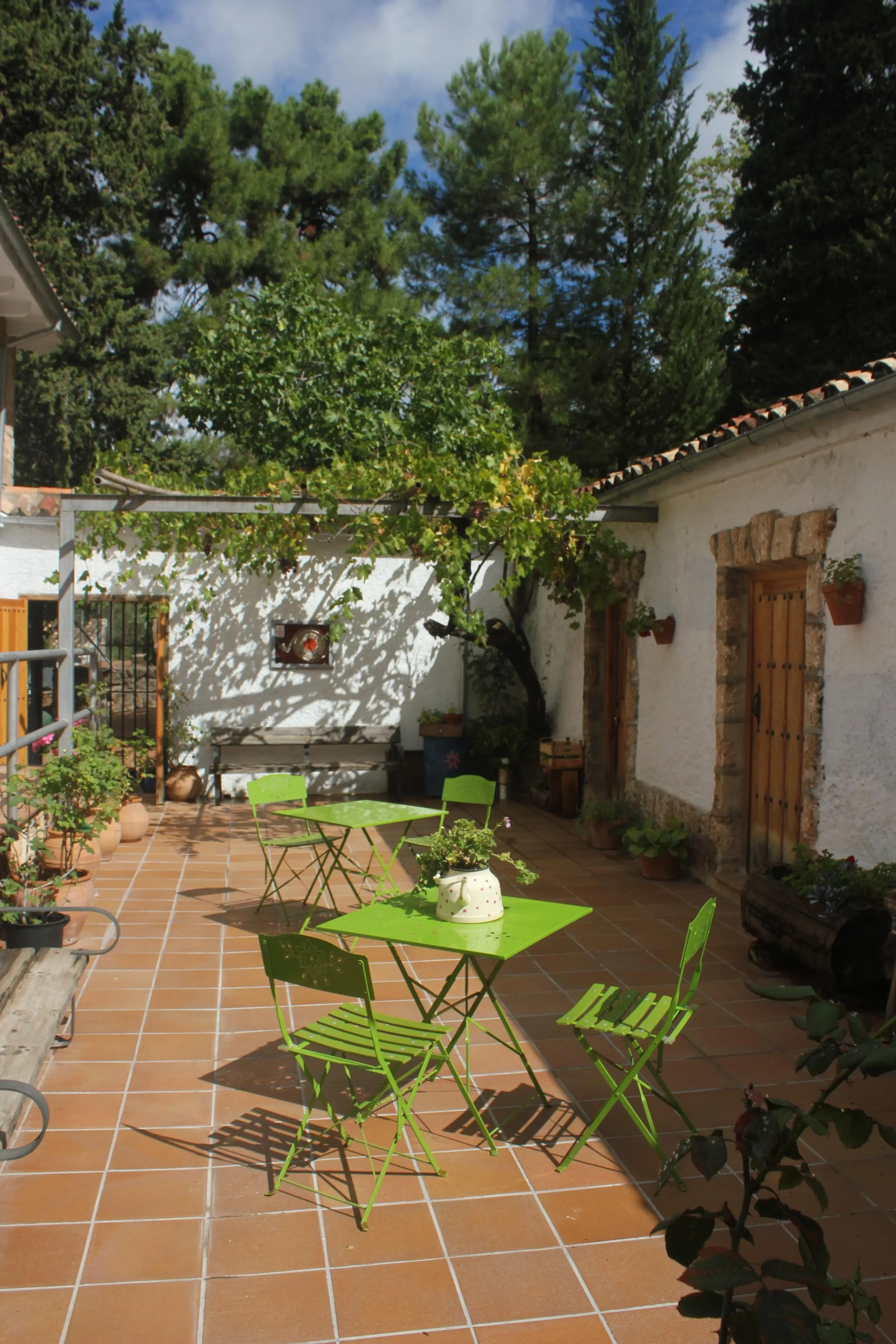 Imagen de Patio El Cantalar