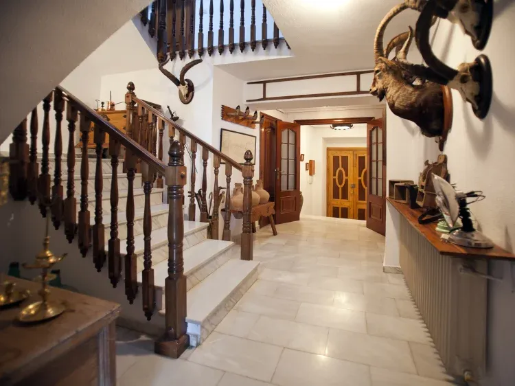 Imagen de Entrada