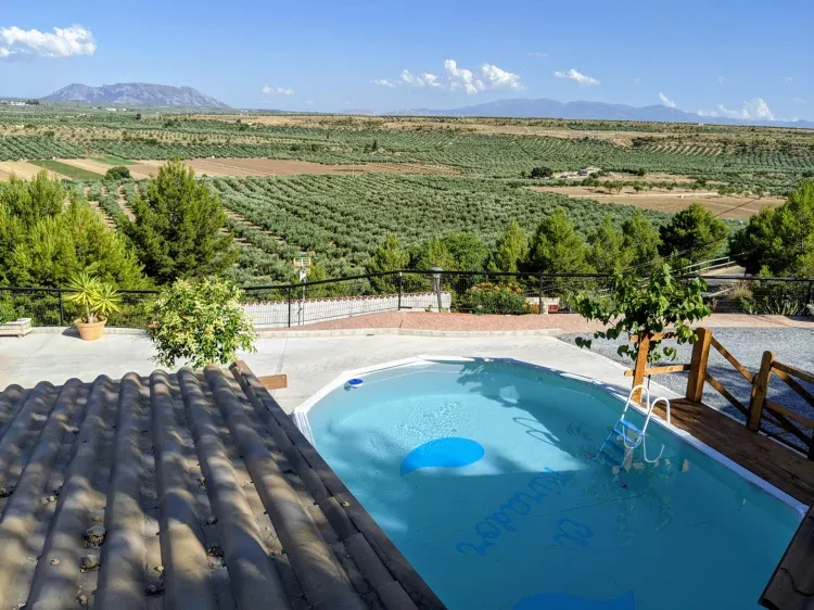 Imagen de Piscina lavanda