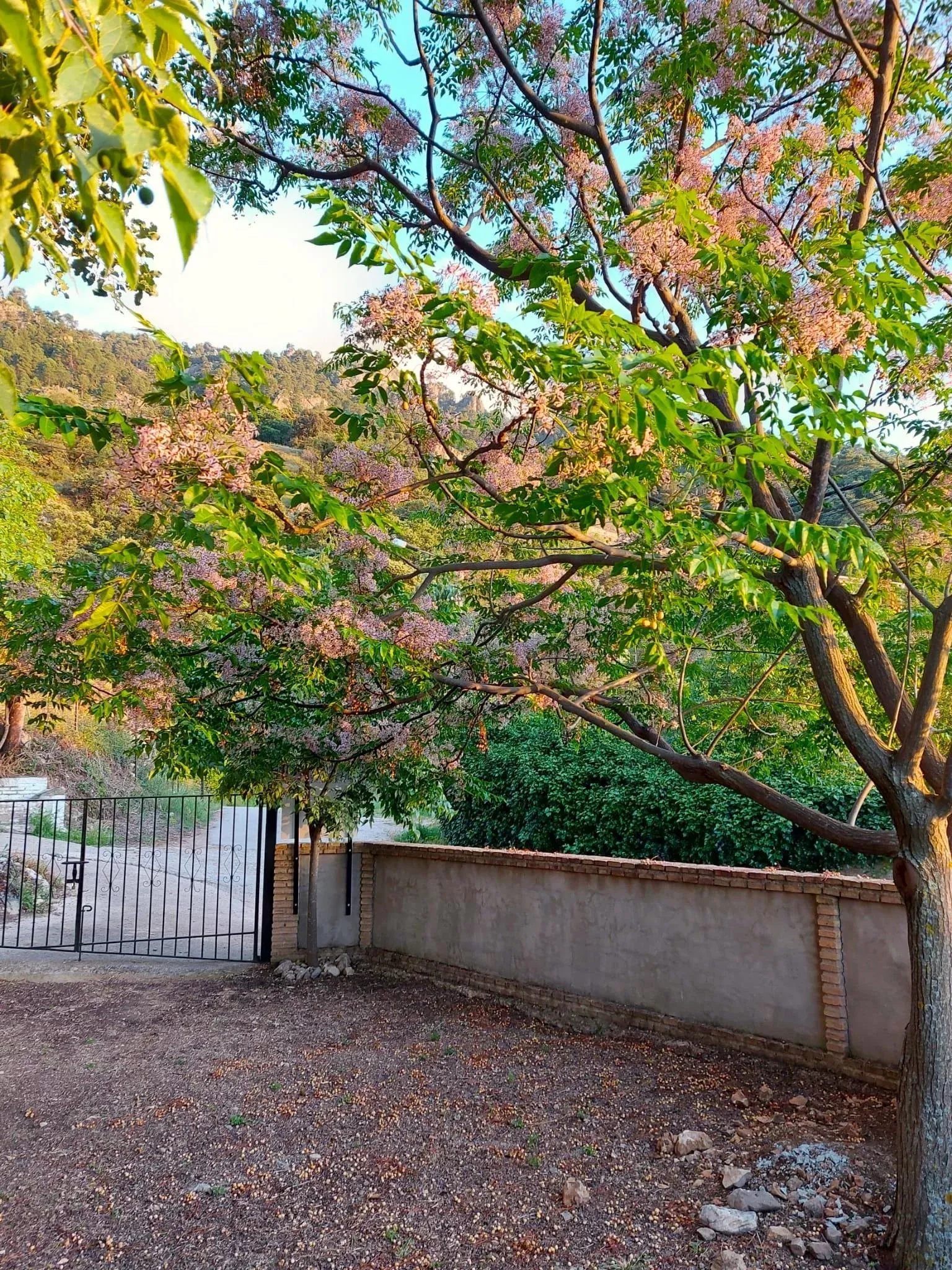 Imagen de Zona exterior privada Casa Rural El Cobijo II