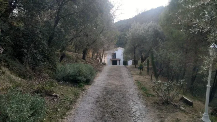 Imagen de Entrada