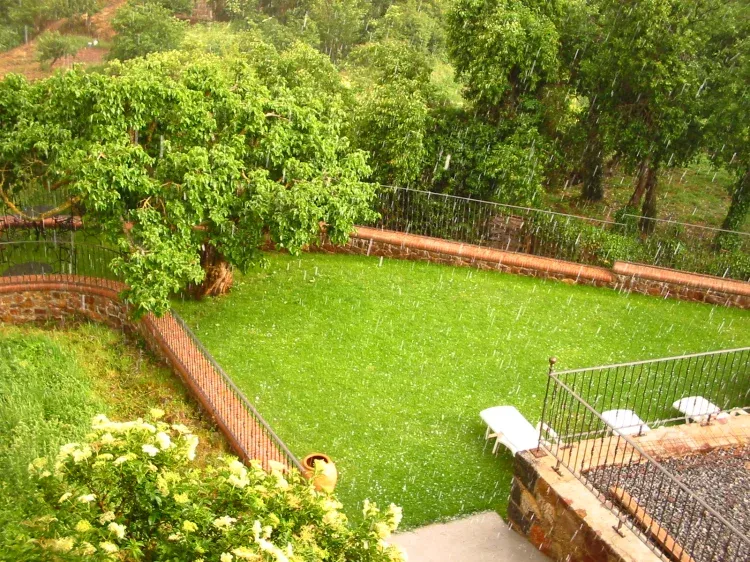 Imagen de jardin