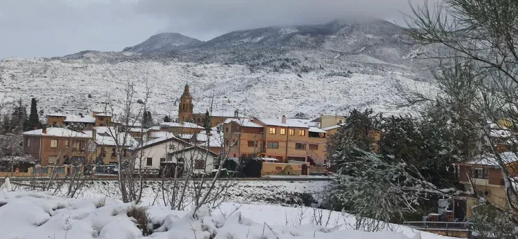 Imagen de Vista de los Apartamentos