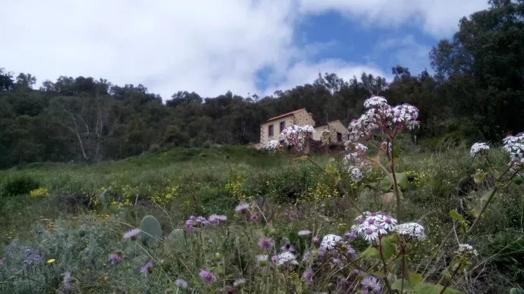 Imagen de Casa Rural Las Caldereras