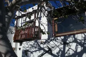 Imagen de Apartamento Gofio