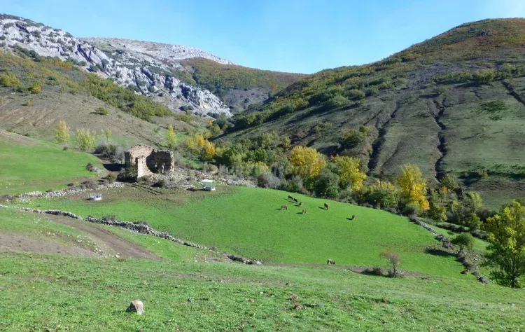 Imagen de Vista del valle que da al pueblo con las  ruinas de lo que fué el monasterio de Tusinos.