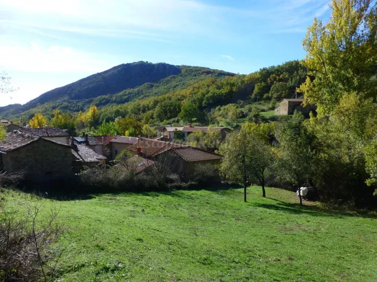 Imagen de Vista del pueblo en verano