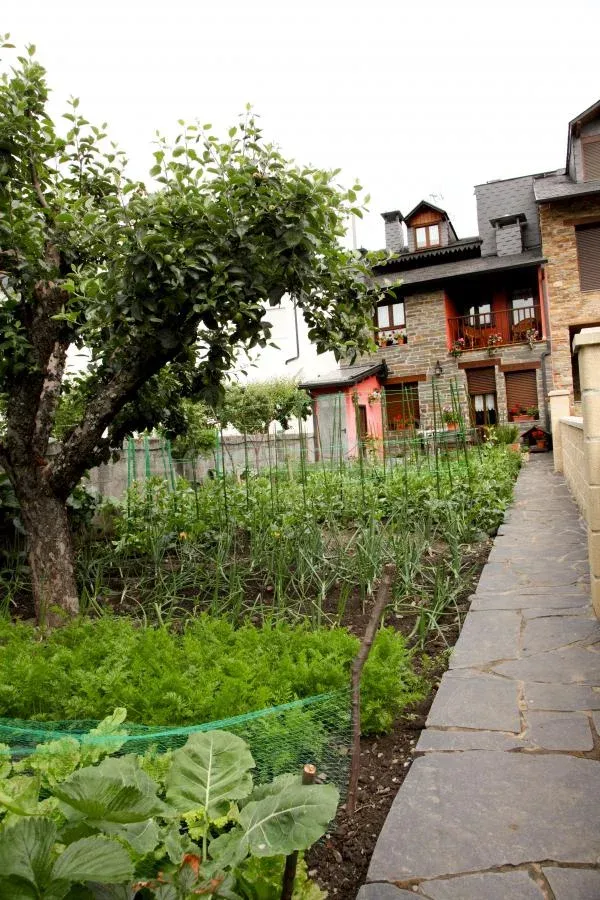 Imagen de huerto de la casa ecologico