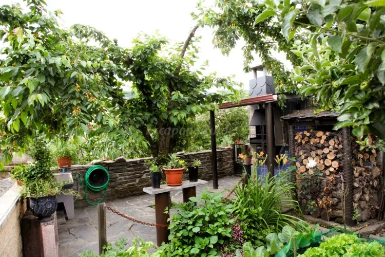 Imagen de chimenea de la casa
