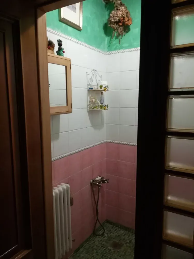 Imagen de baño y botiquin planta baja