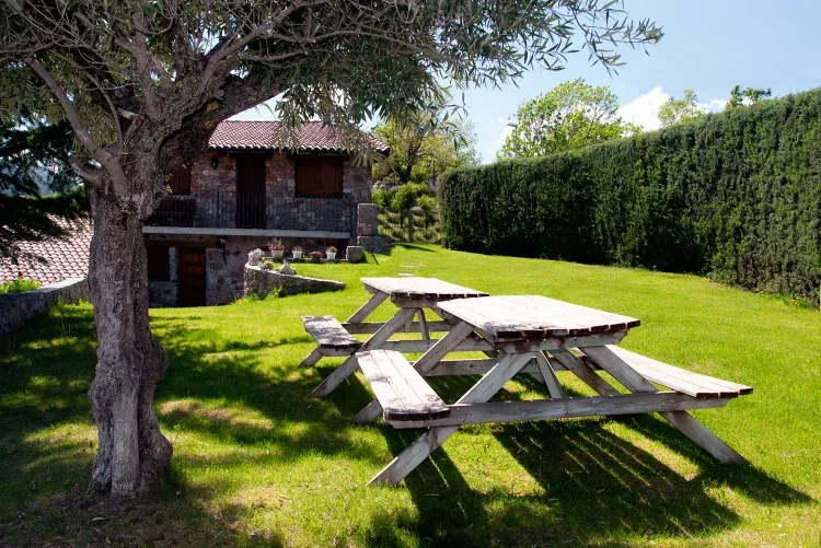 Imagen de Jardin