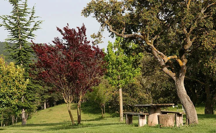 Imagen de El pla -jardin
