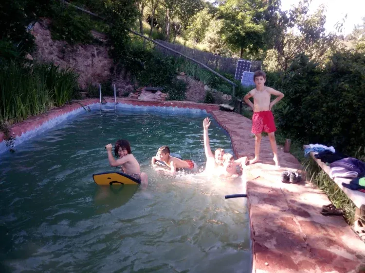 Imagen de piscina biofiltrada