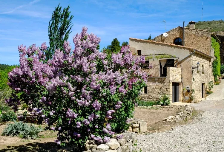 Imagen de exterior casa_lilà