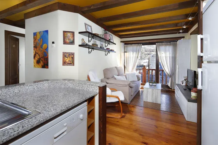 Imagen de Salón - cocina