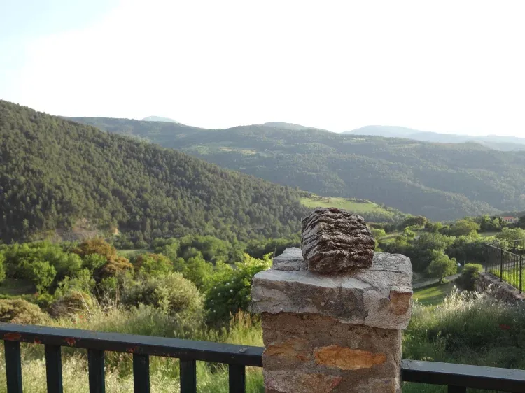 Imagen de Jardín.