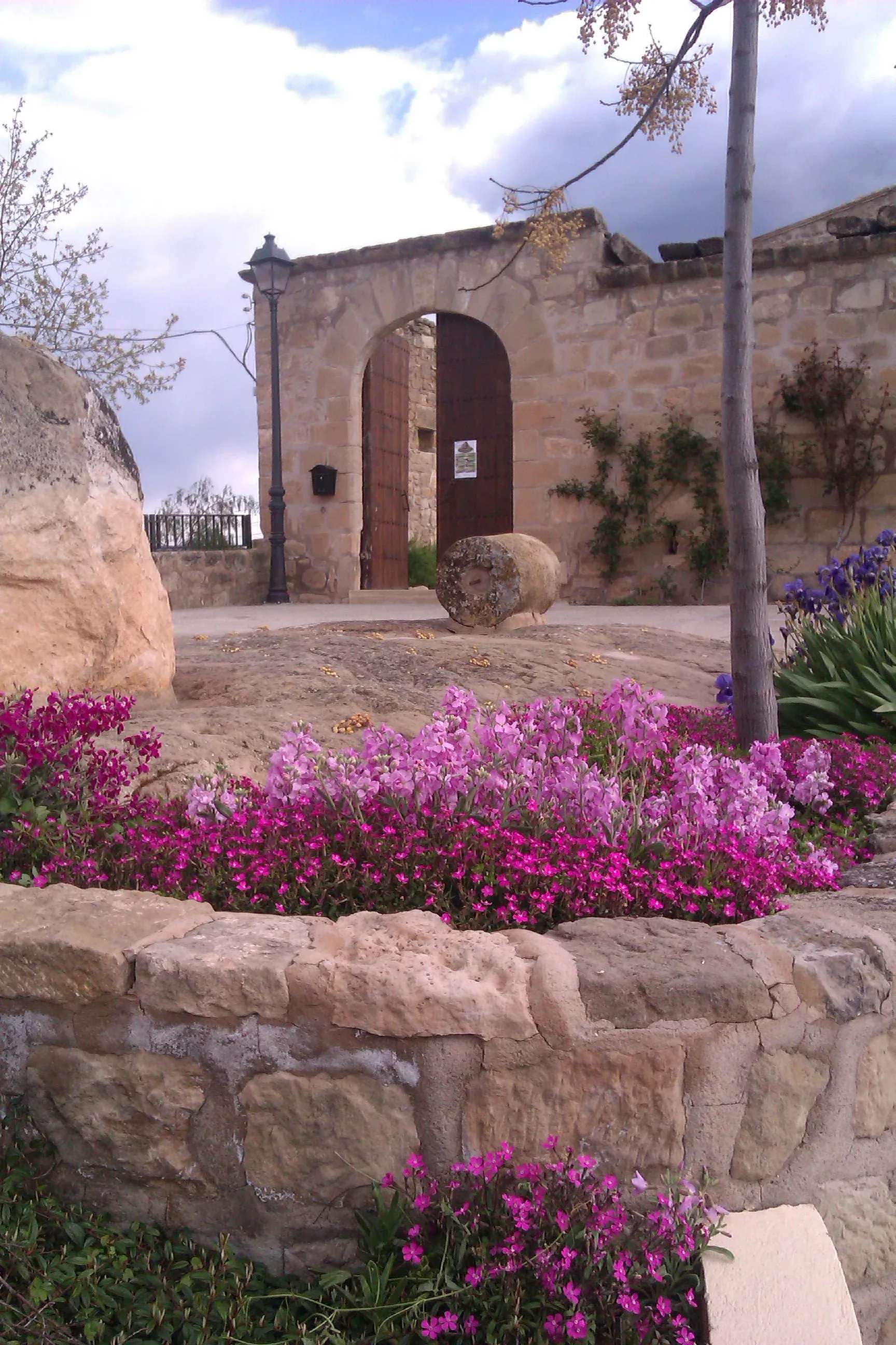 Imagen de Entrada