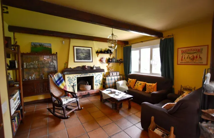 Imagen de Salón (chimenea)
