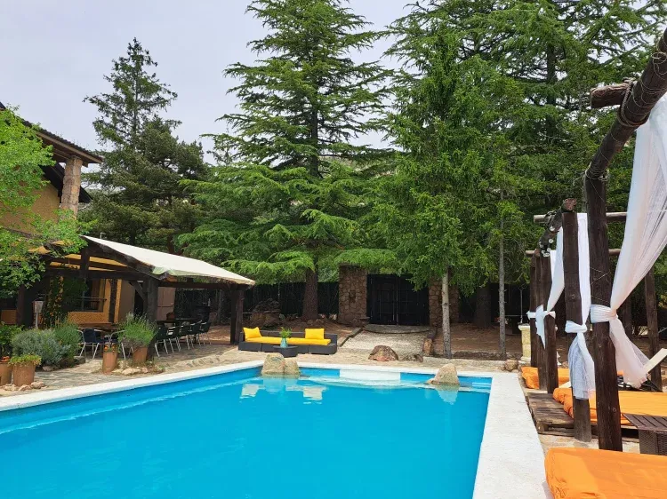 Imagen de Jardin piscina