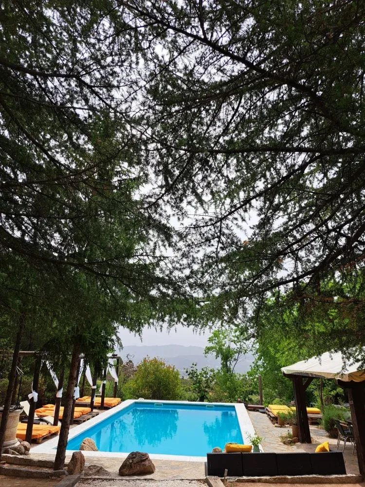 Imagen de jardin piscina