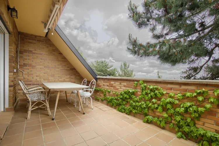 Imagen de TERRAZA