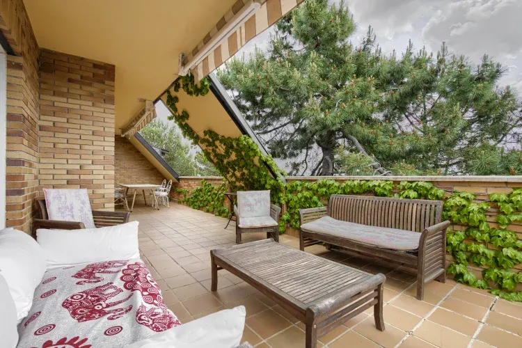 Imagen de TERRAZA