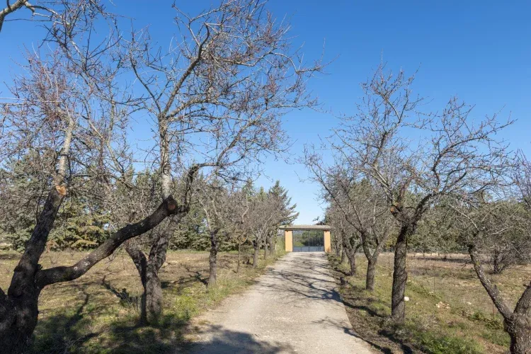 Imagen de Camino de entrada