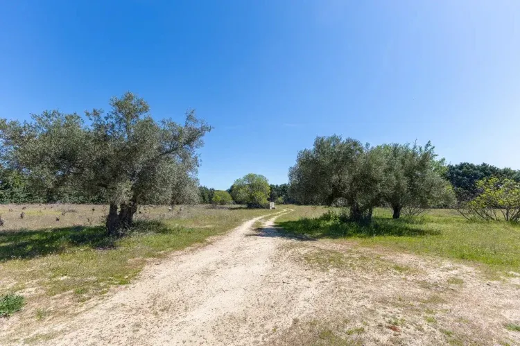 Imagen de Paisaje de la finca
