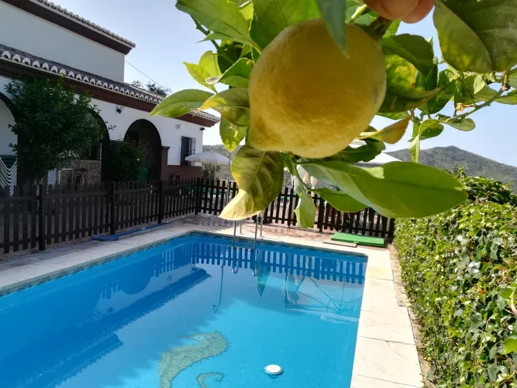 Imagen de Piscina