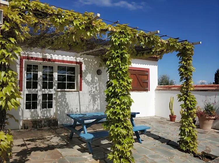 Imagen de Patio